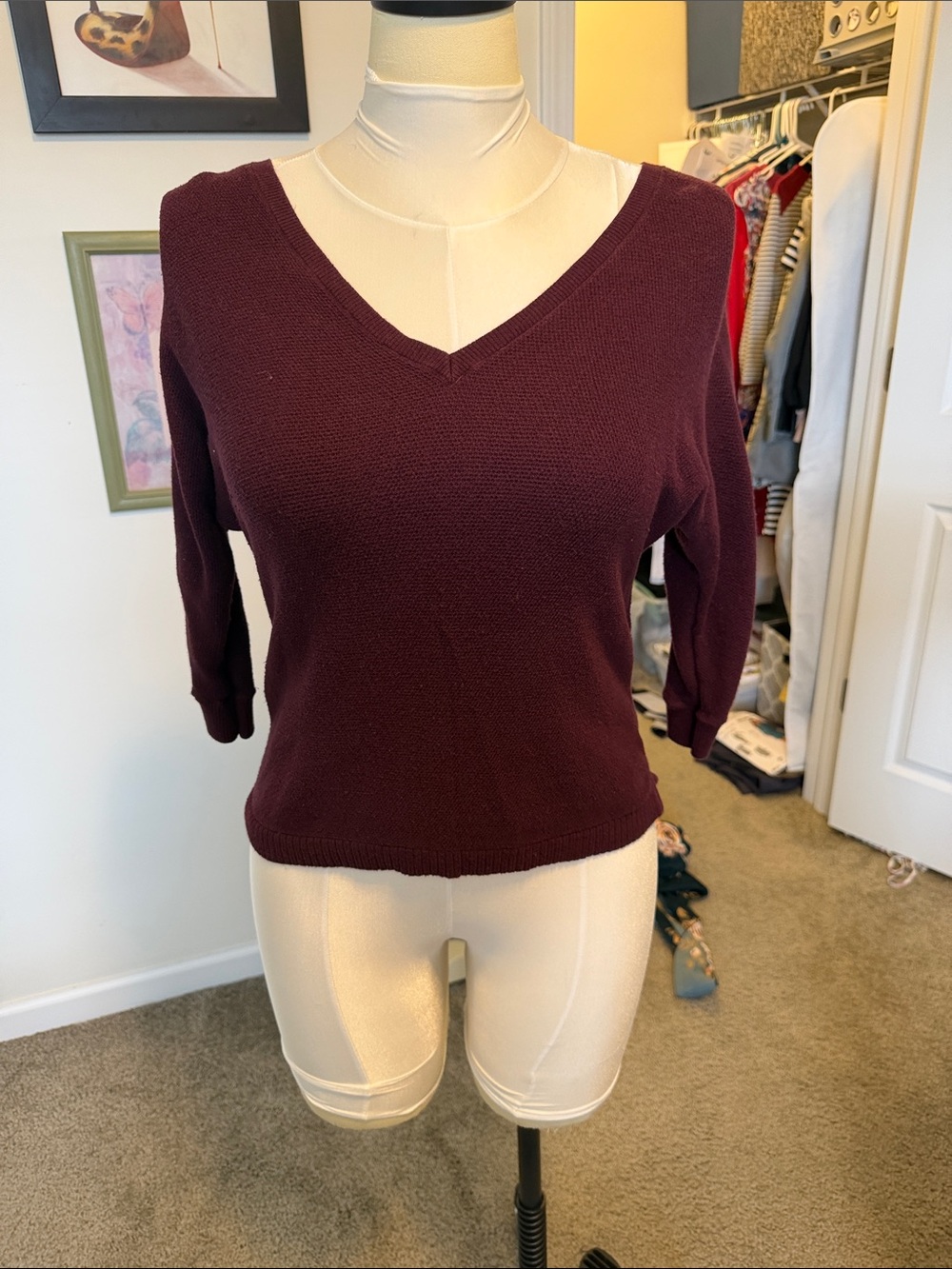 Express Women's V-Neck Sweater - Burgundy